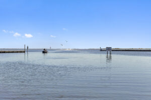 Wildlife photography opportunity