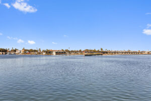 Unique ecosystem wildlife